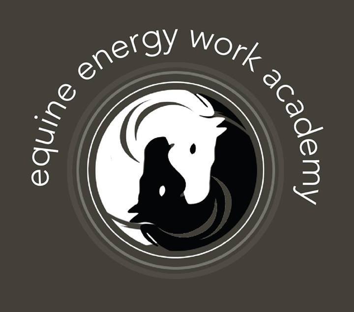 Equine Energy Work Academy